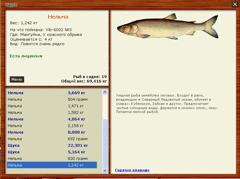 Переведи на русский fishing