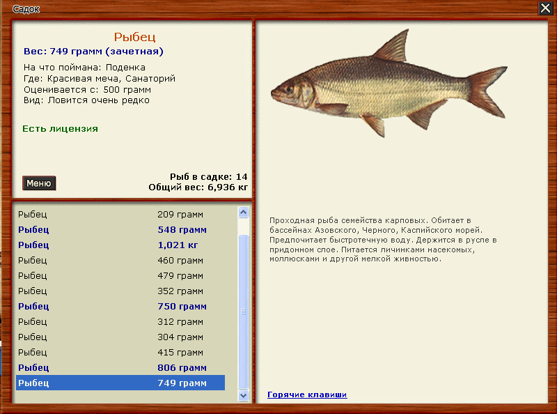 На что ловить рыбу