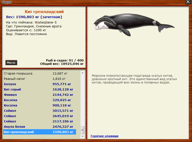 Фото переводчик кита. Рр3 квест киты. Царство кит русский язык.