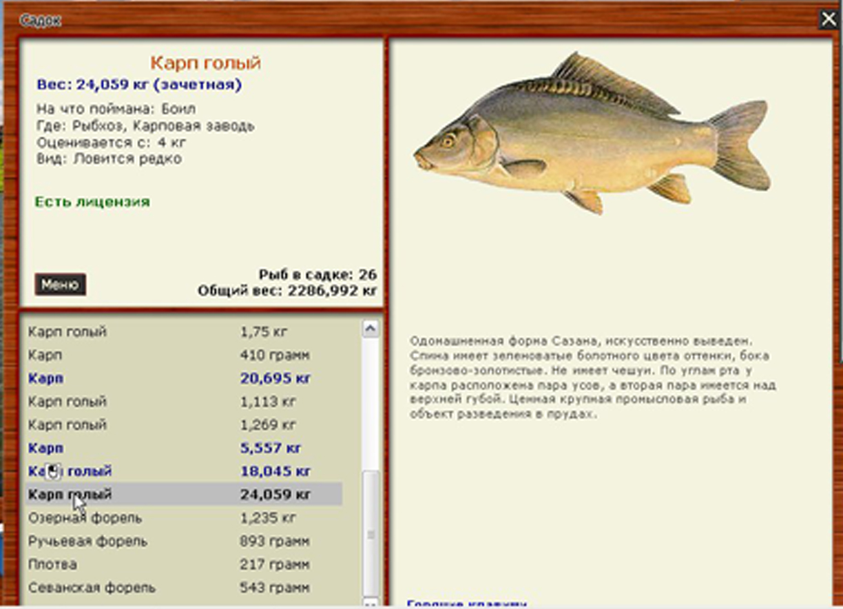 голый карп русская рыбалка фото 1