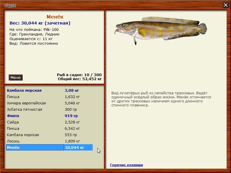 Рыба менек фото и описание