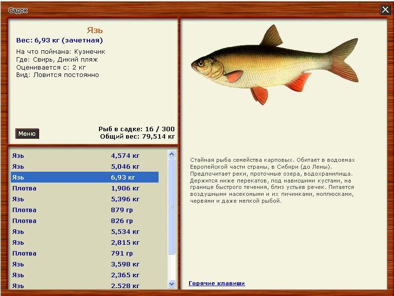 Русская рыбалка 3 Свирь чехонь - новости, секреты, стратегии игры
