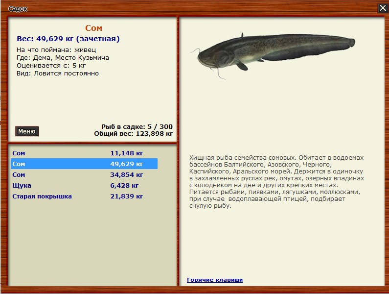 На рисунке изображены сом и щука. Семейства рыб сом. Семейство сомовых рыб. Сом максимальный вес.