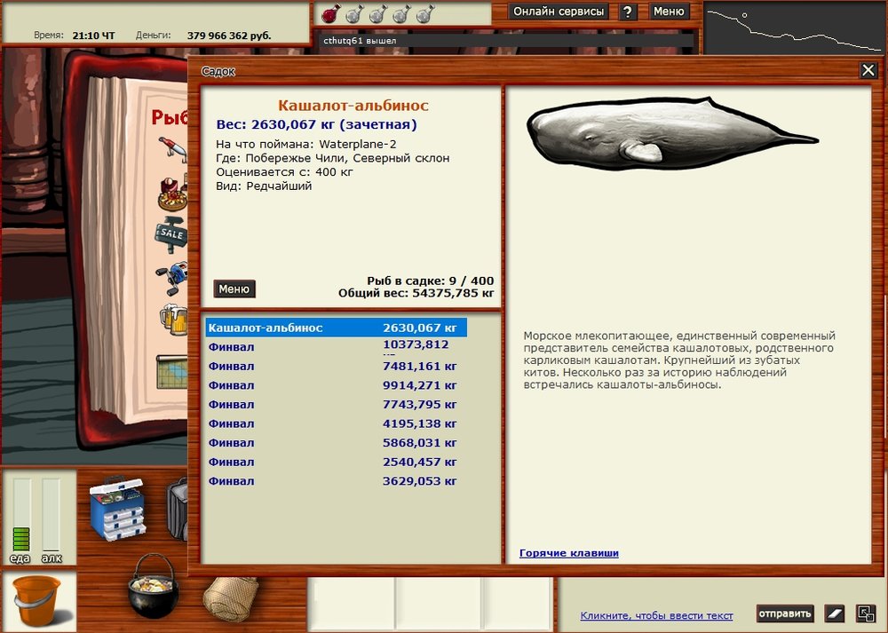 кашик альбинос.jpg