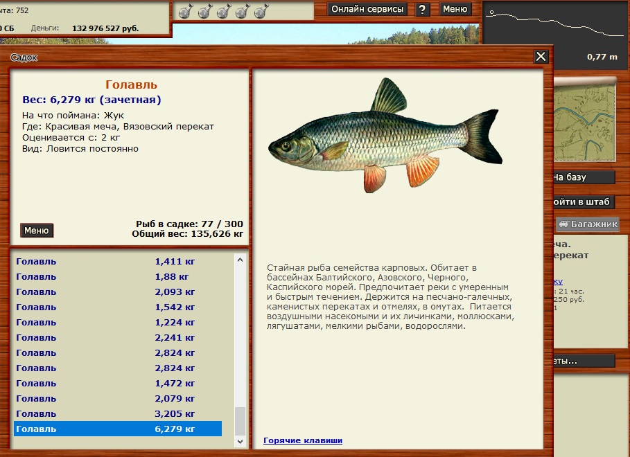 Голавль рыба фото и описание на что ловить