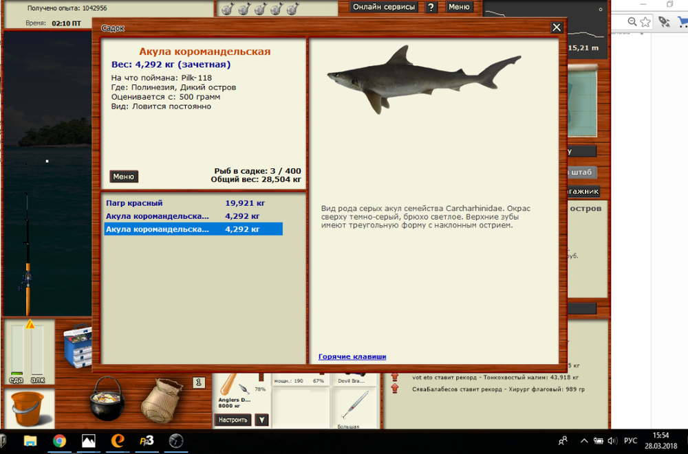 акула калем.png