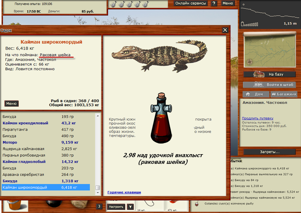 Кайман широкомордый.png