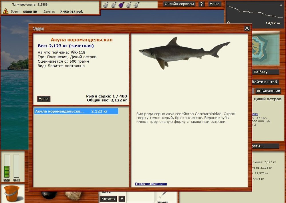 акула коромандельская.jpg