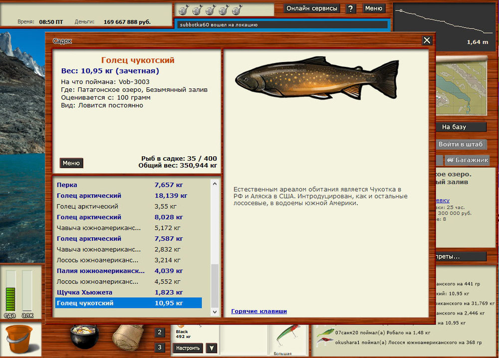 голец ч рекорд.jpg