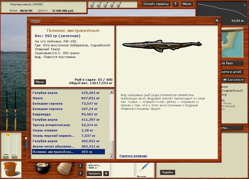 Пилонос австролийский.jpg