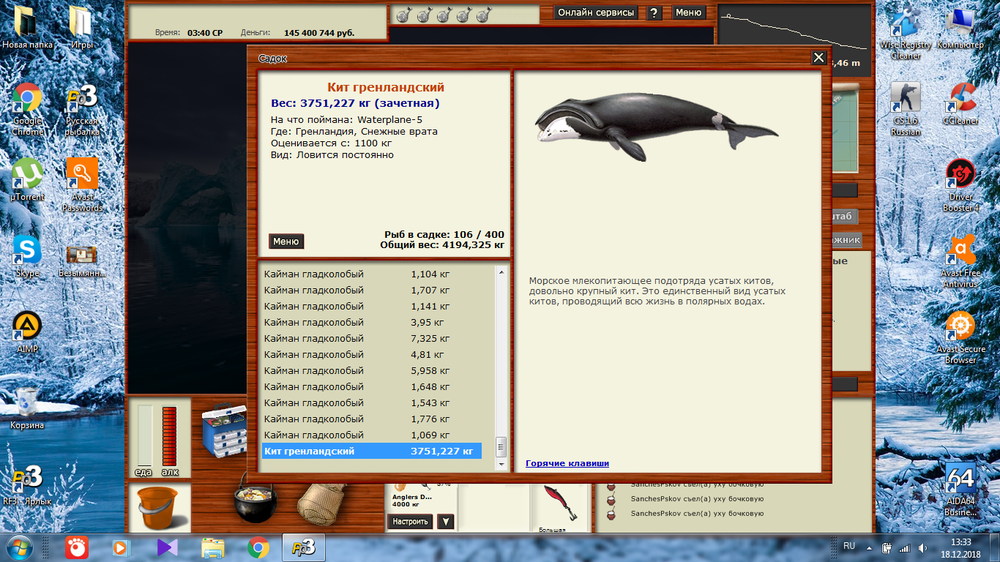 кит грендландский.png