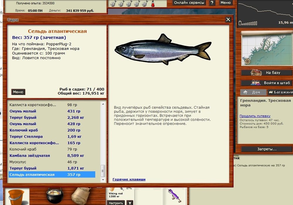 Сохраненное изображение 2019-1-17_22-56-35.9.jpg