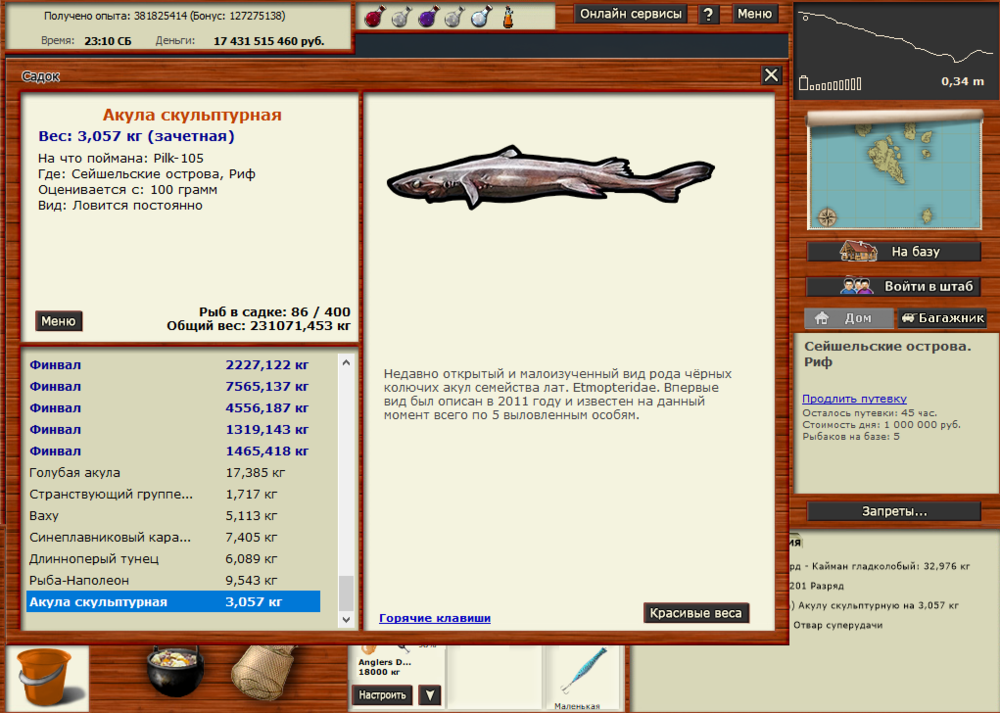 Акула скульптурная.png