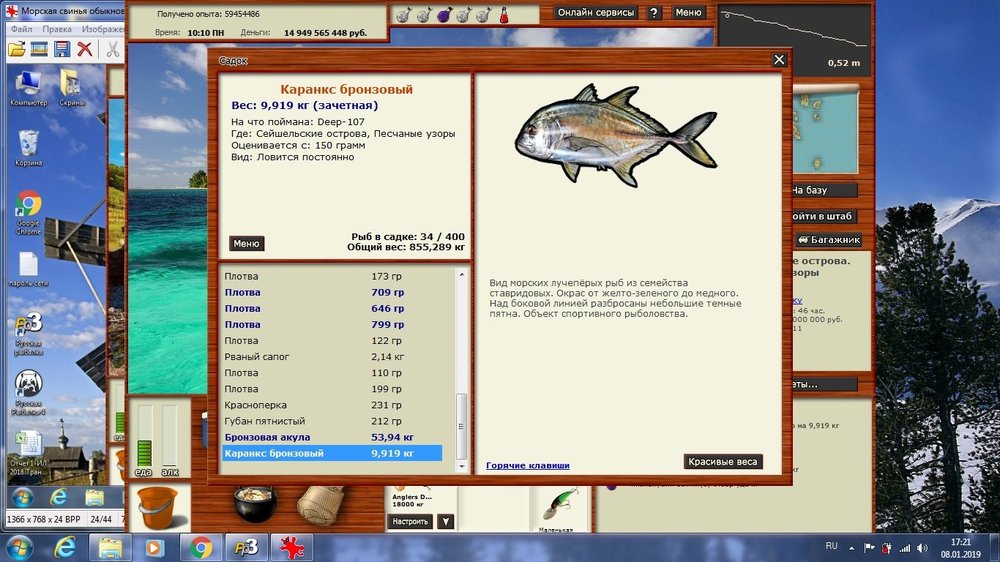 Каранкс бронзовый.jpg