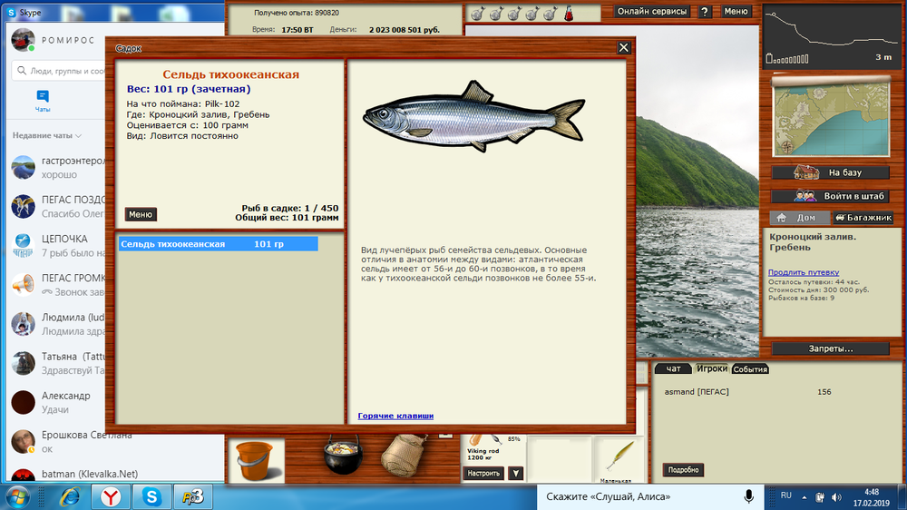 Сельдь тихоокеанская.png