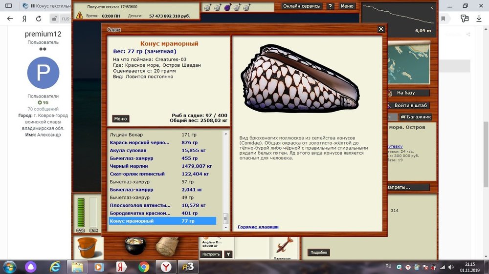 Конус мраморный.jpg