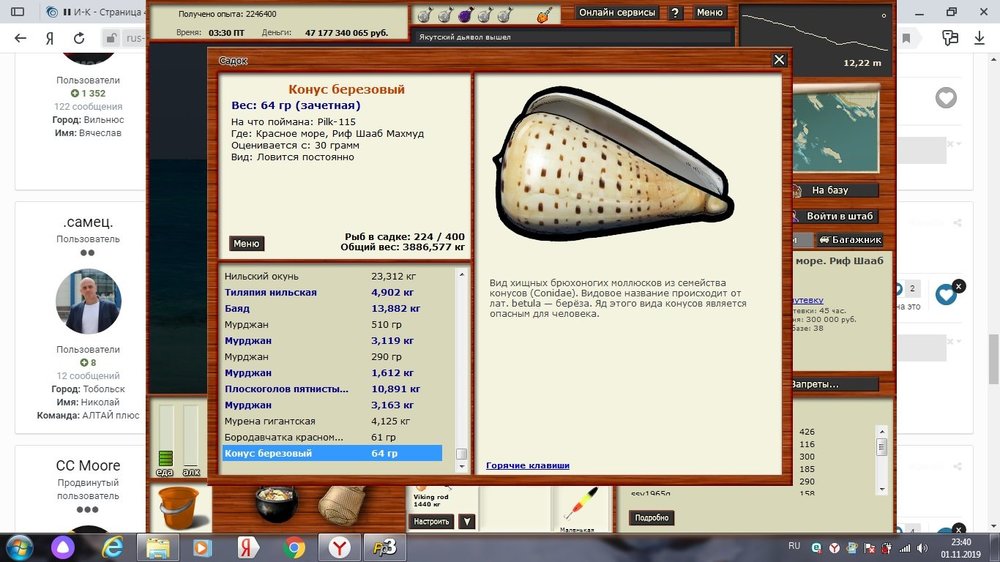 Конус березовый.jpg