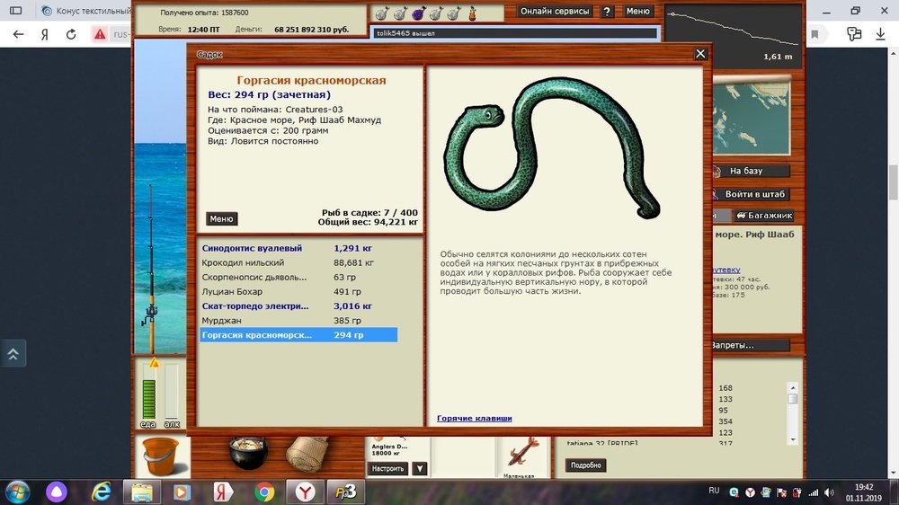 Горгасия черноморская.jpg