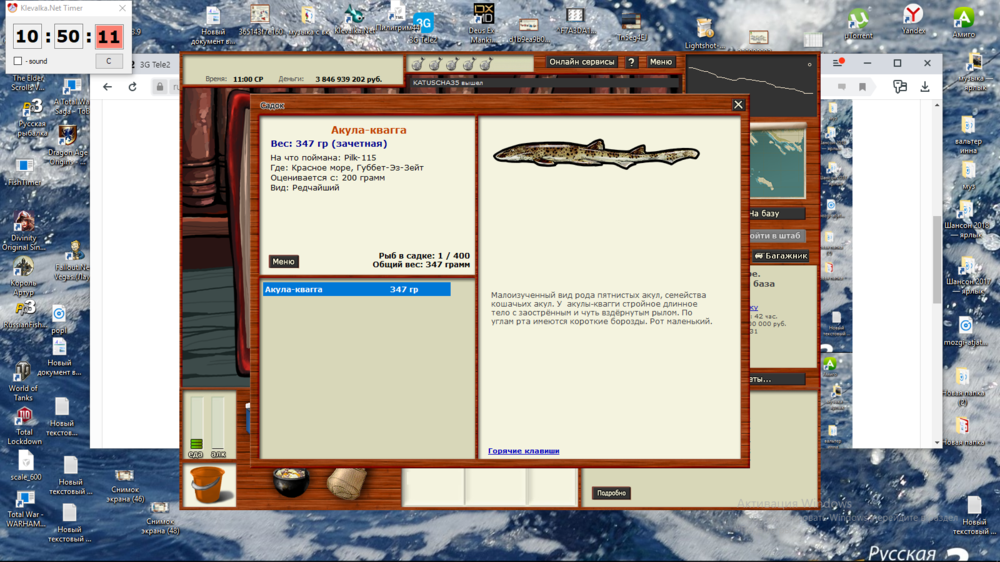 Снимок экрана (49).png