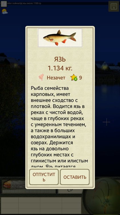 Screenshot_20200320-031220_  .jpg