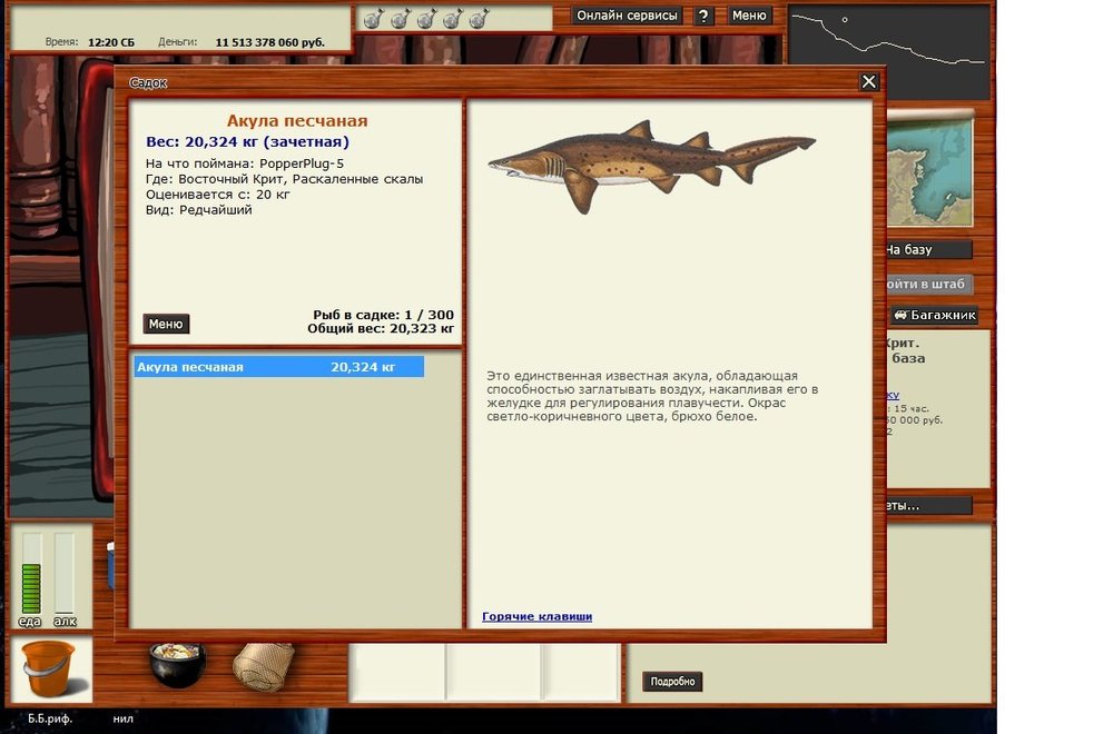 акула песчаная.jpg