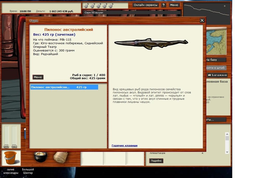 пилонос австралийский.jpg