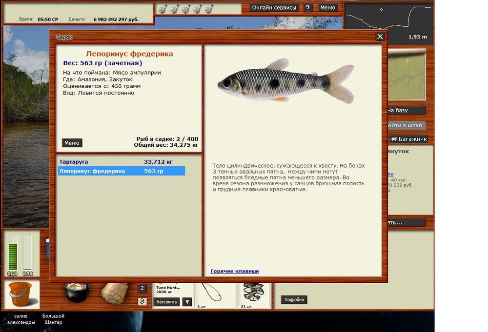 лепоринус фредерика.jpg