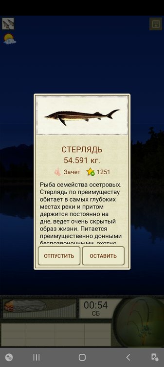 Screenshot_20210222-175006_  .jpg