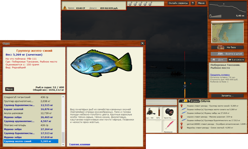 Группер желто-синий.png