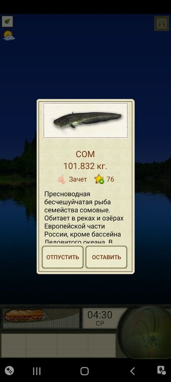 Screenshot_20210827-021424_  .jpg