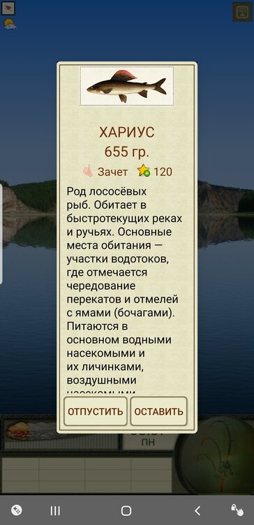 Screenshot_20220109-150426_  .jpg