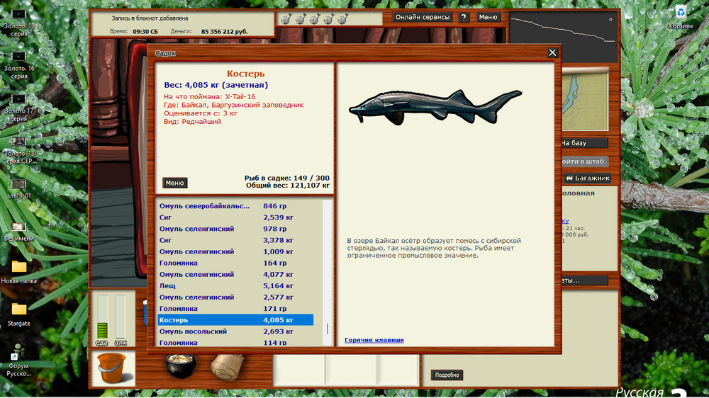 Без имени.png