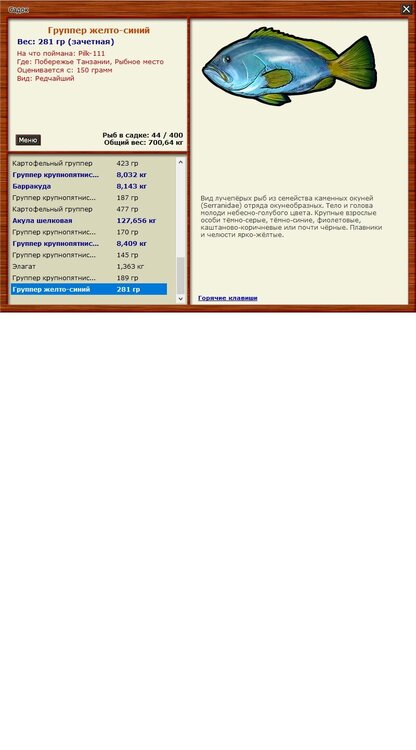 Группер желто-синий.jpg