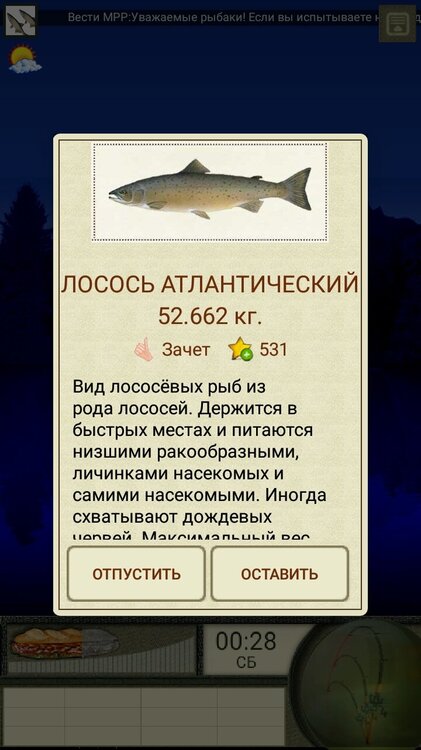 Screenshot_20220424-213420_  .jpg