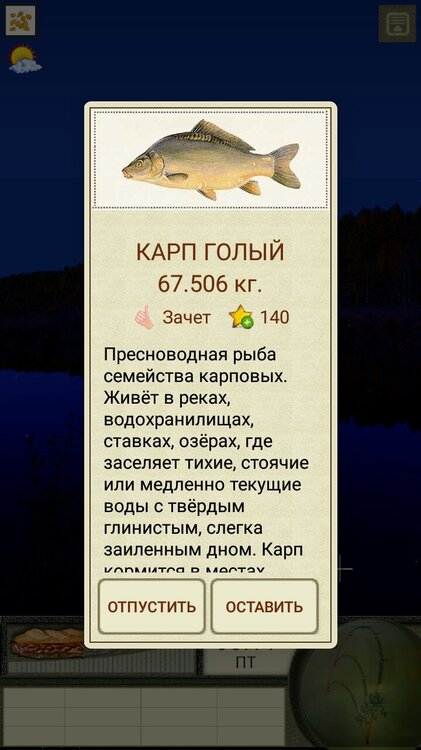 Screenshot_20220519-001748_  .jpg