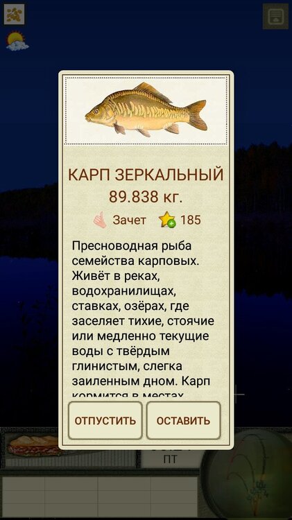 Screenshot_20220519-001502_  .jpg