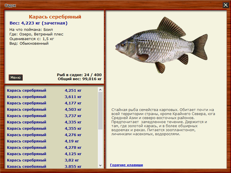 Язь калькулятор слово. Серебряный карась. Размер килограммового карася. Карась Размеры. Карась Размеры и вес.
