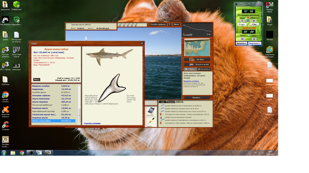 акула  копьезубая.png