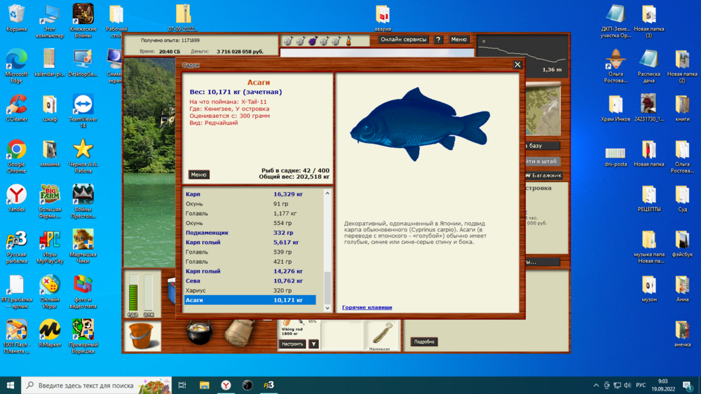 Снимок экрана (44).png