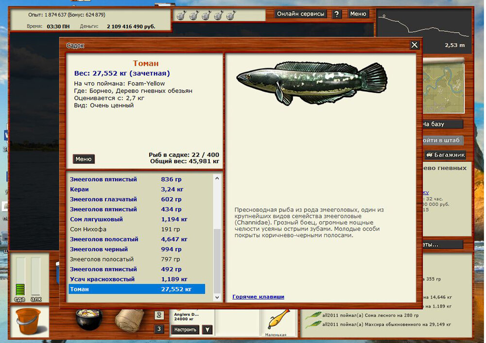 томсон.jpg
