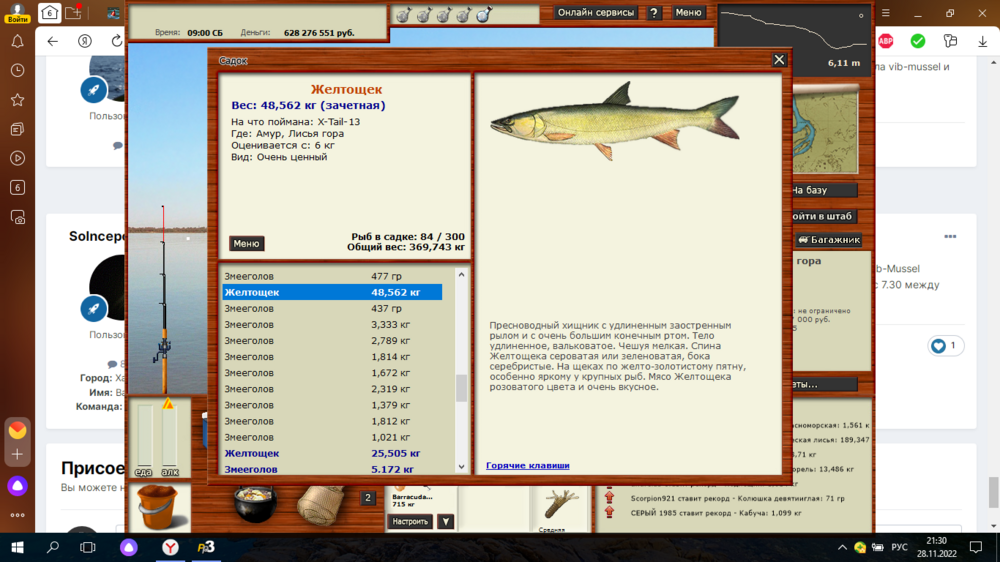 Снимок экрана (3).png