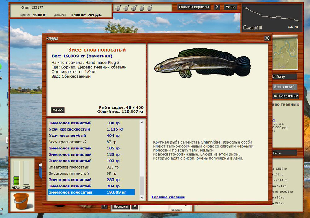 зией полосатый.jpg