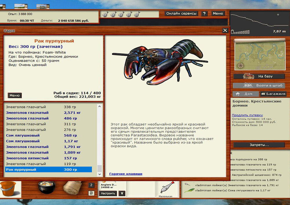 Рак пурпурный.jpg