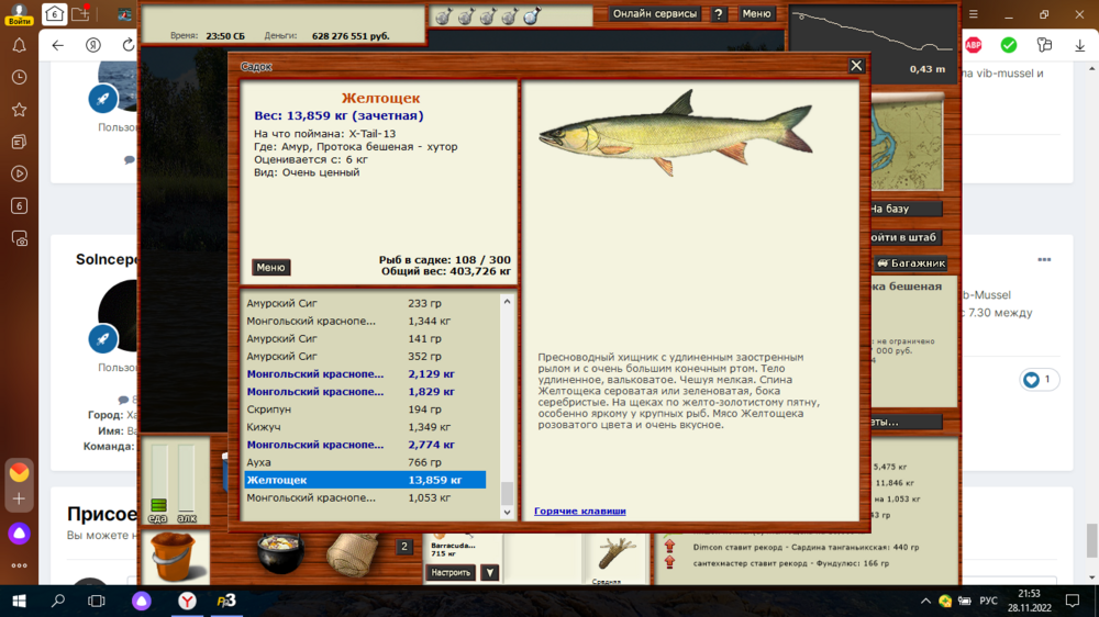 Снимок экрана (4).png