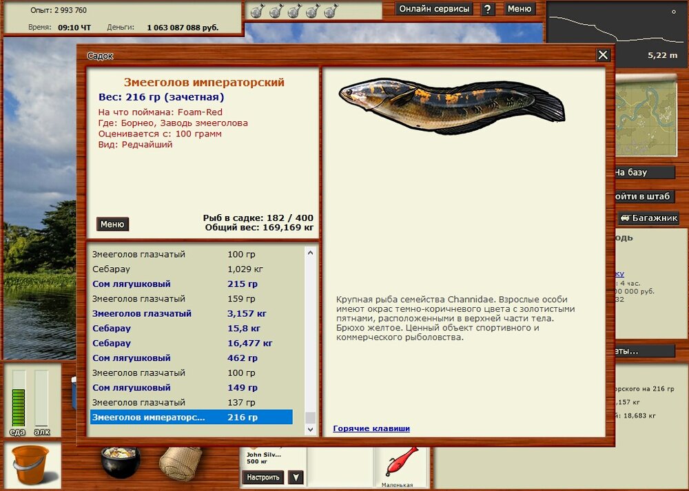 Змееголов Императорский.jpg