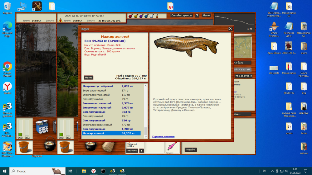 Снимок экрана (62).png