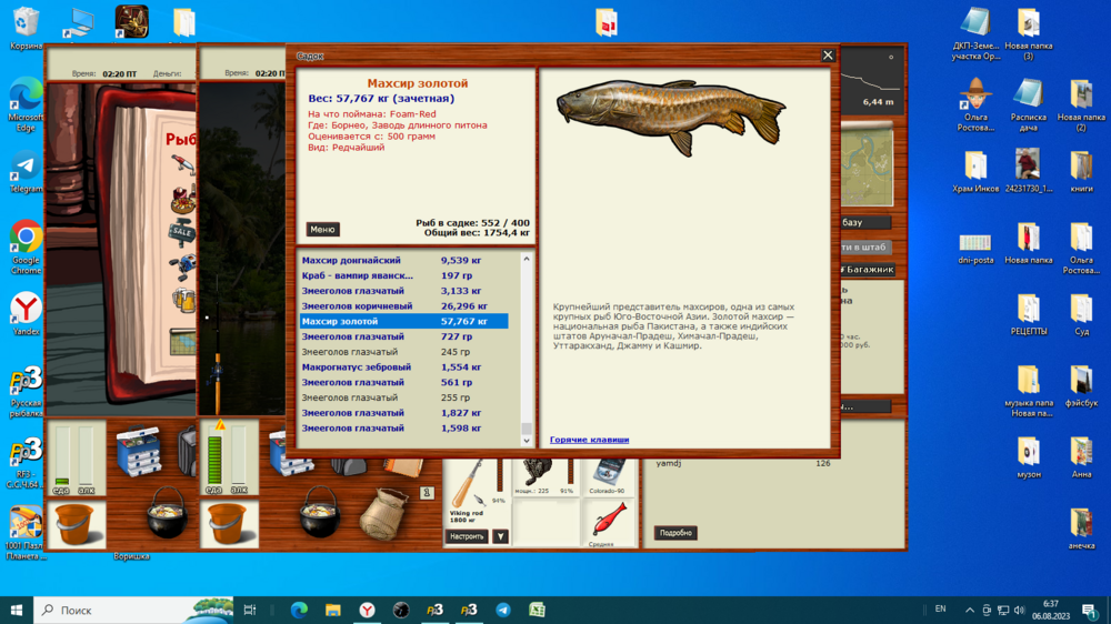 Снимок экрана (68).png