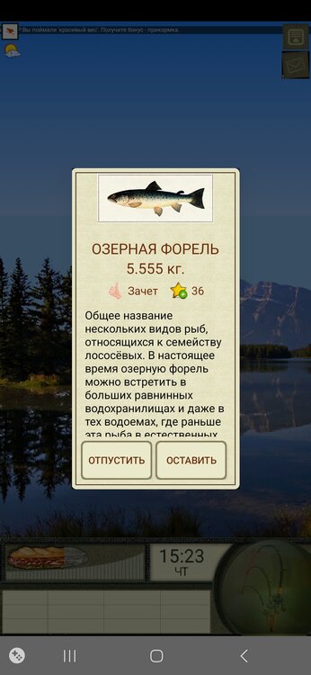 Screenshot_20240224_131809_  .jpg