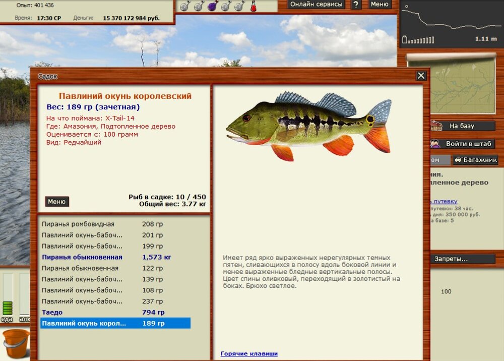 окунь королевский.jpg