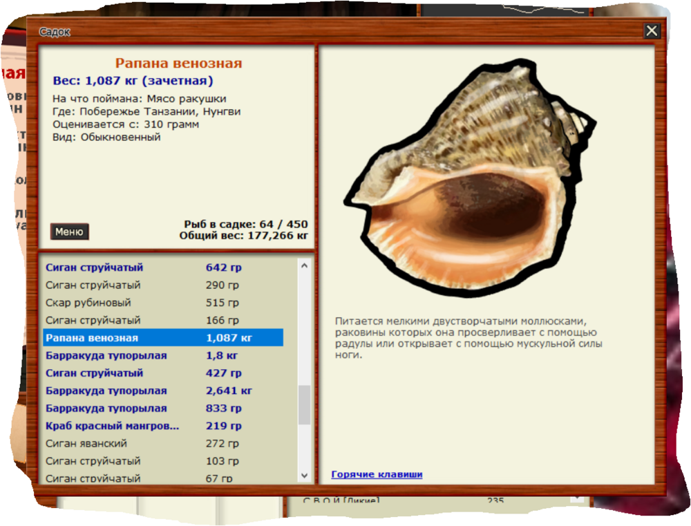 рапана на Танзании.PNG